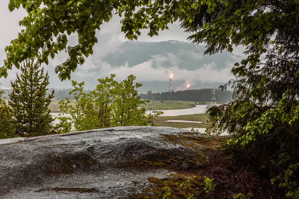 View of industrial emissions from a factory seen through trees in a natural setting.