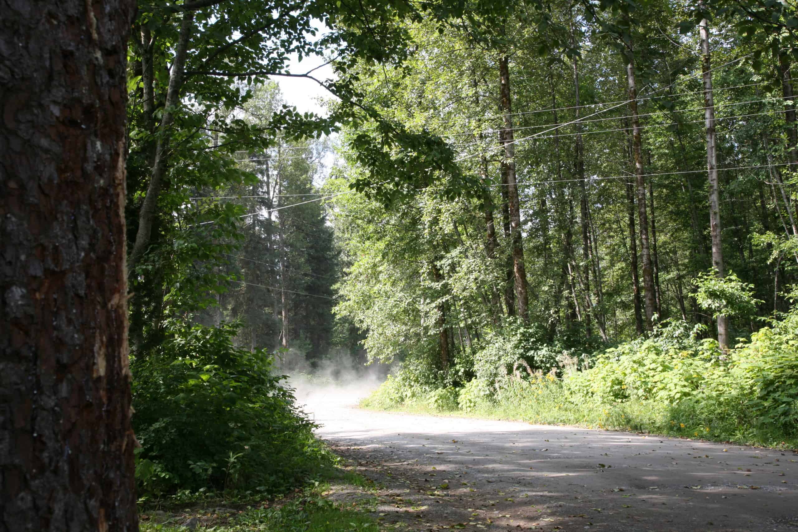 Monitoring air quality in a forested area near Kitimat, BC.