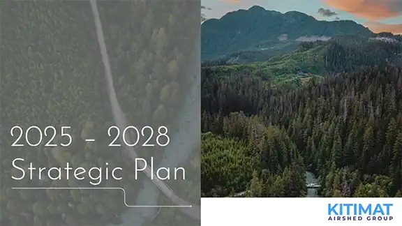 Aerial view of forested mountains and river in Kitimat region.